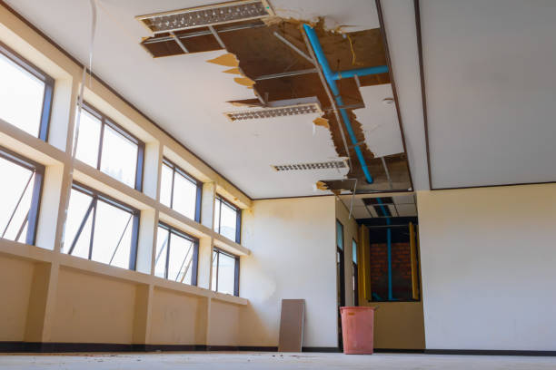 Best Professional water damage repair  in Newark, NY