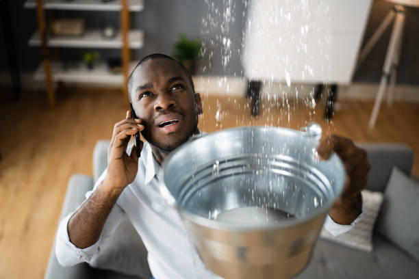 Best Mold removal after water damage  in Newark, NY