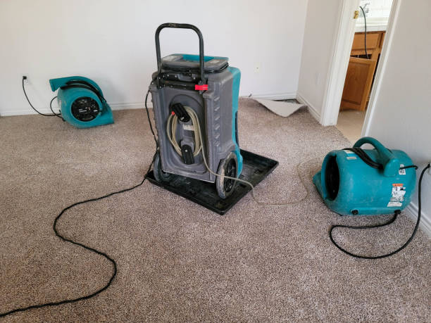 Best Flood damage cleanup  in Newark, NY
