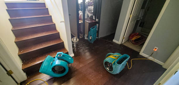 Best Water damage mitigation services  in Newark, NY
