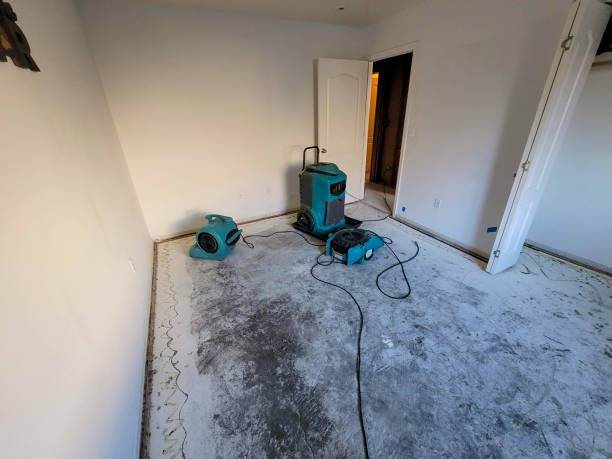 Best Water damage cleanup near me  in Newark, NY