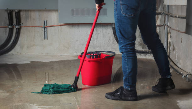  Newark, NY Water damage restoration Pros