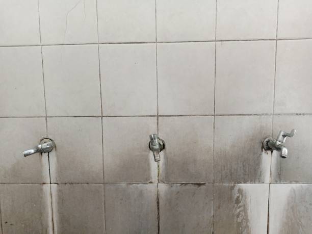 Best Commercial water damage restoration  in Newark, NY