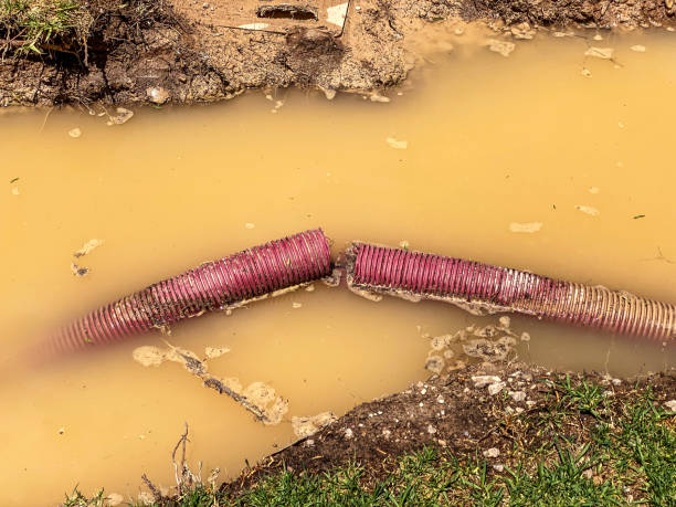 Best Flood restoration services  in Newark, NY