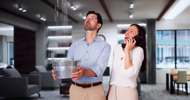 Best Water damage restoration near me  in Newark, NY