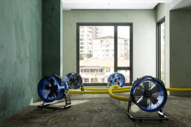 Best Water damage restoration specialists  in Newark, NY